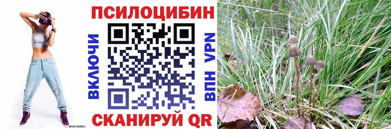 Галлюциногенные грибы ЛСД  Конаково 