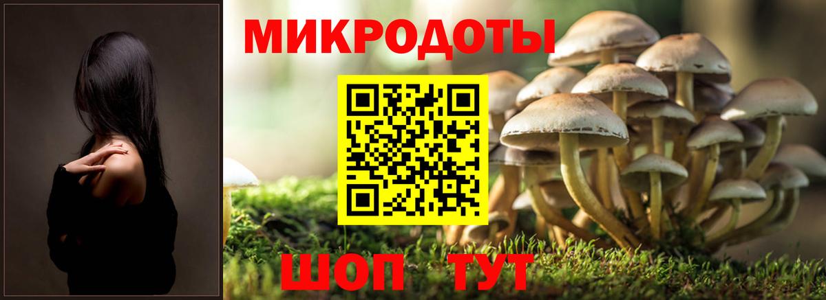 Бошки Шишки Конаково